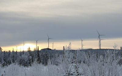 Red Rock Power Makes Move into European Market with Swedish Wind Farm Acquisition 